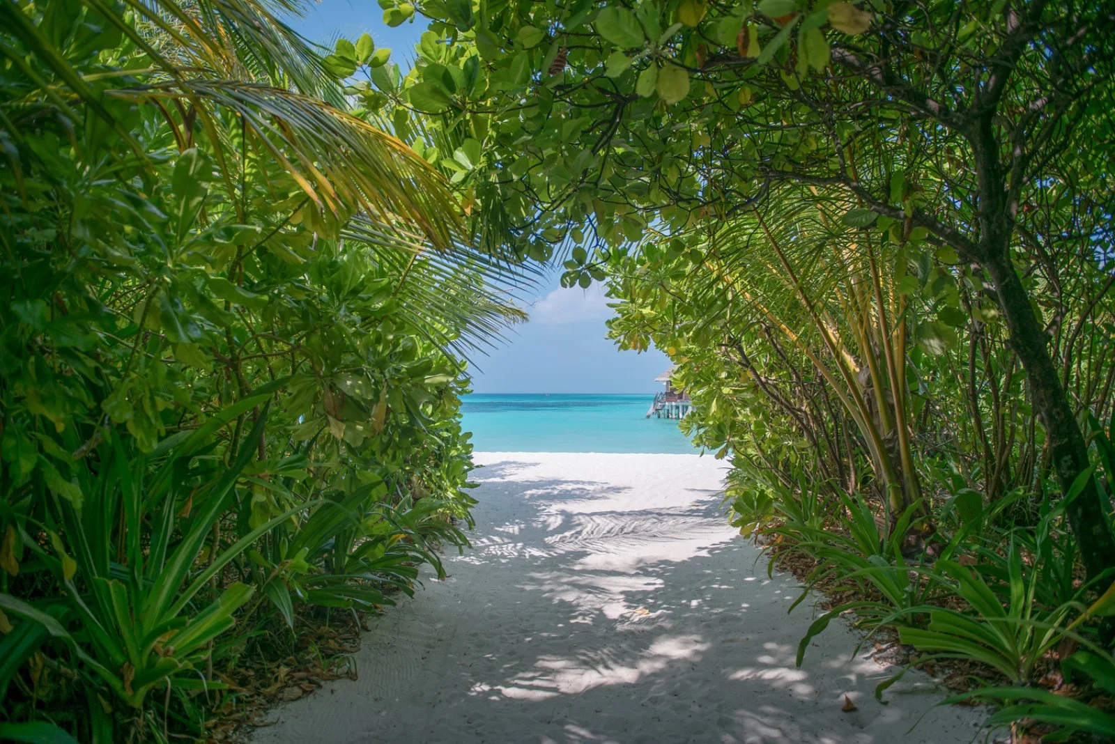 COCO PALM DHUNI KOLHU MALDIVES