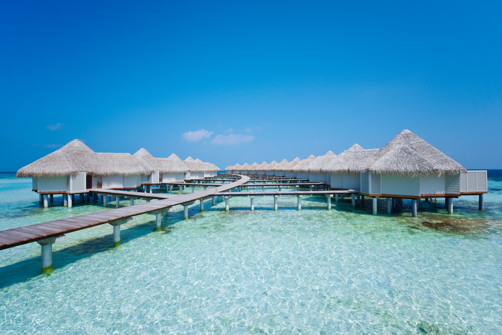 Drift Thelu Veliga Retreat