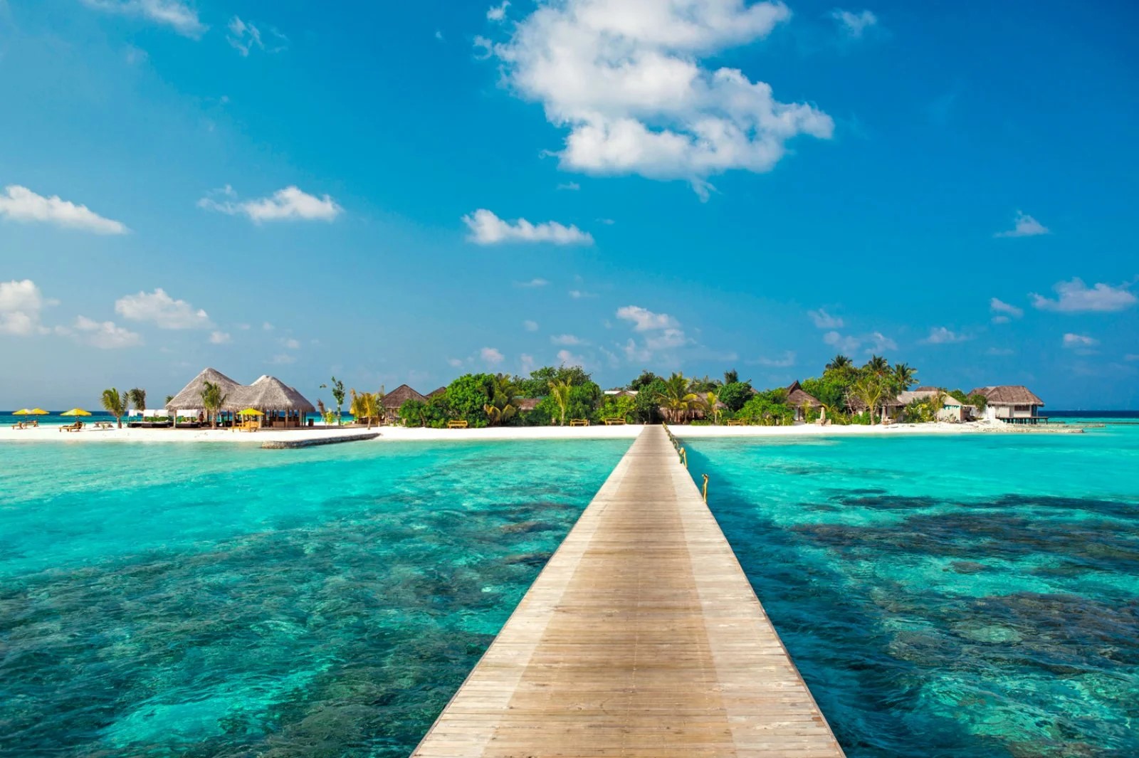 Drift Thelu Veliga Retreat