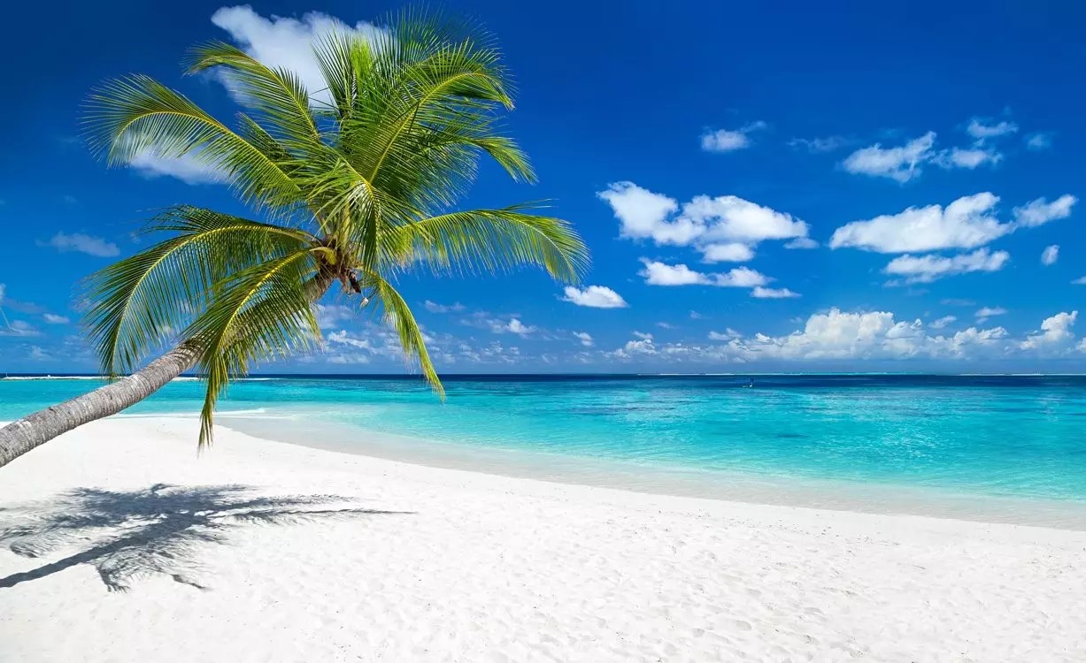 Experience Veraclub dusitD2 Feydhoo Maldives