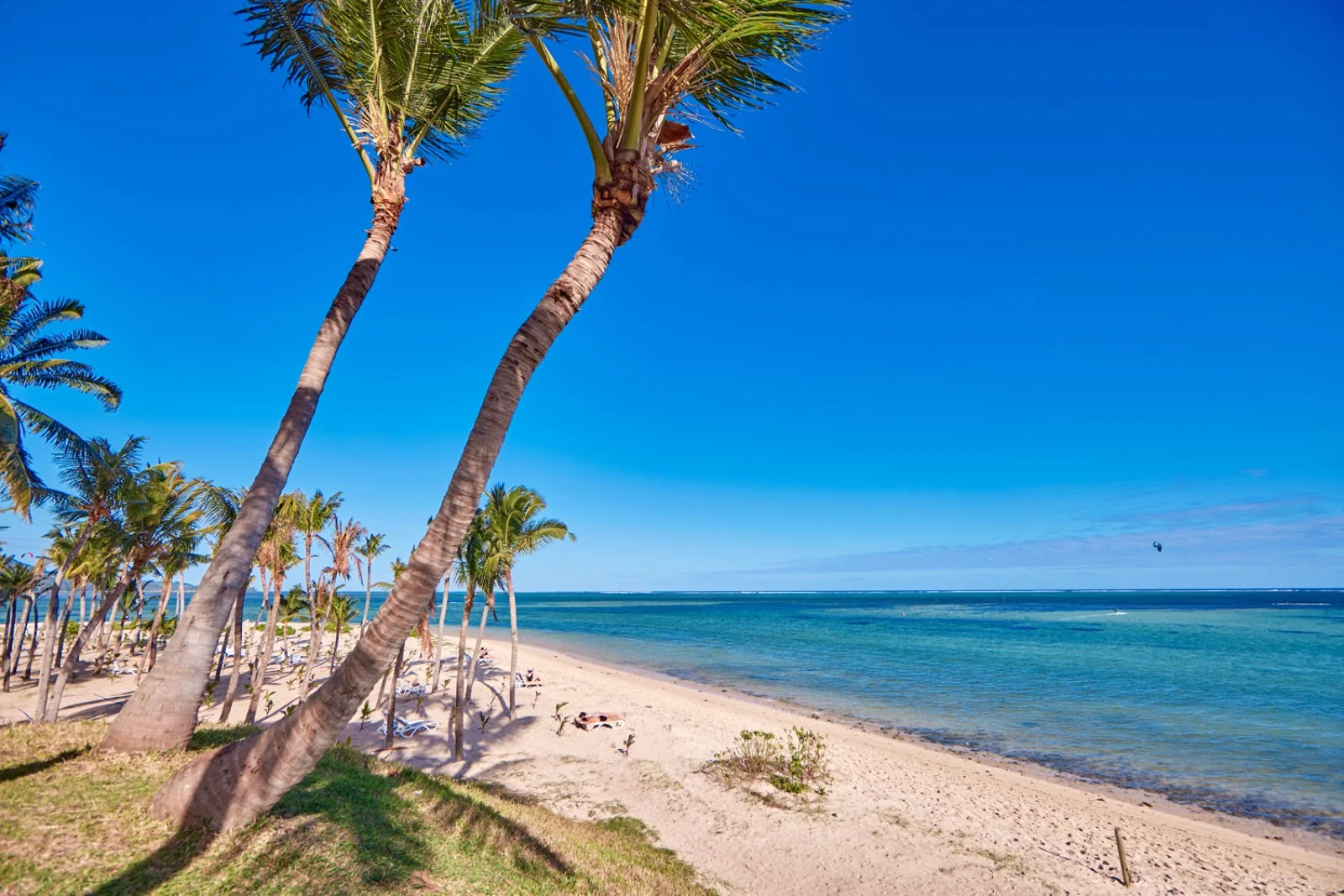 Riu Turquoise Resort