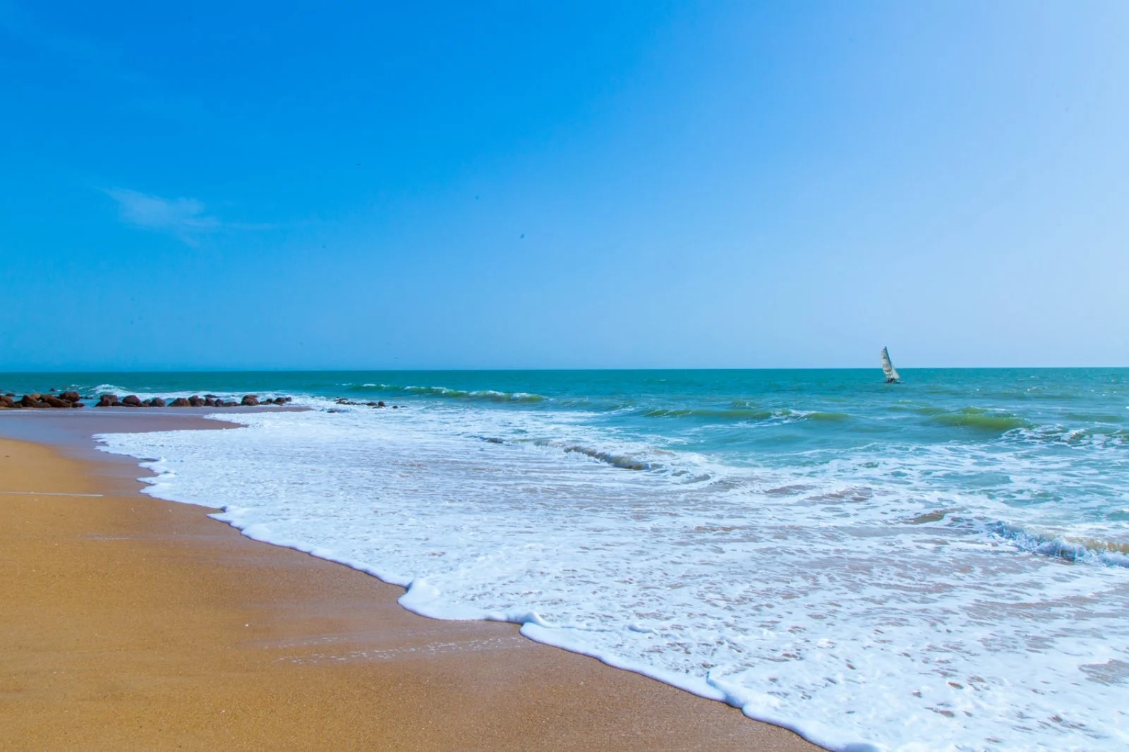 Royal Horizon Baobab