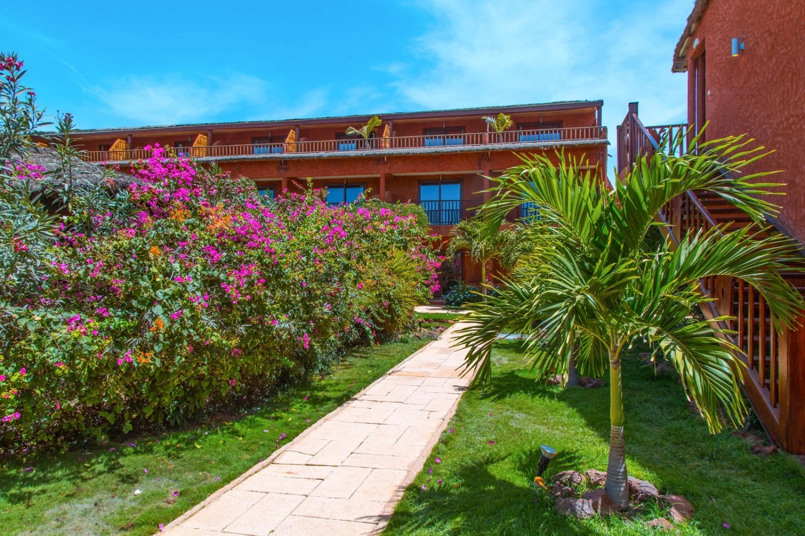 Royal Horizon Baobab