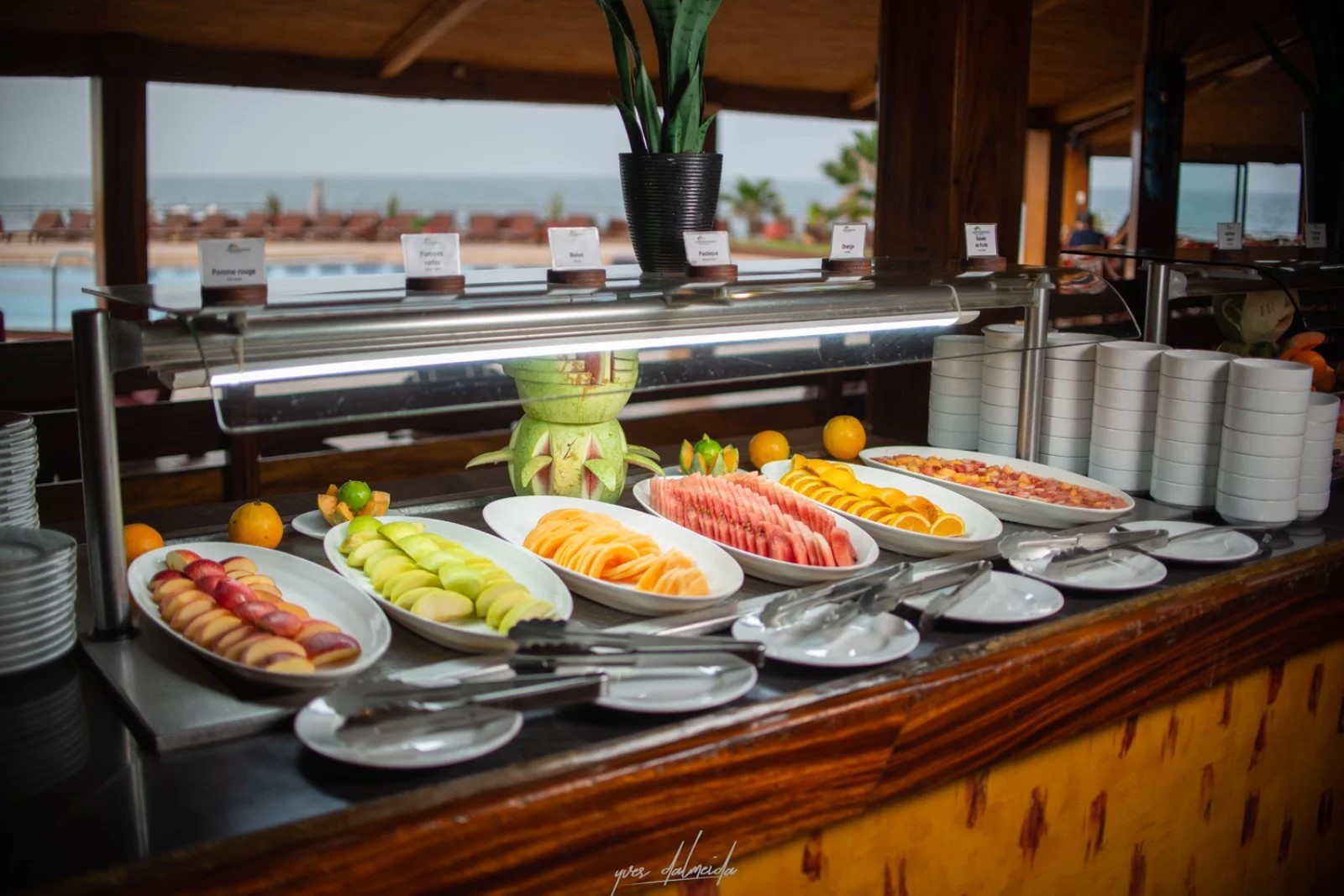 Royal Horizon Baobab