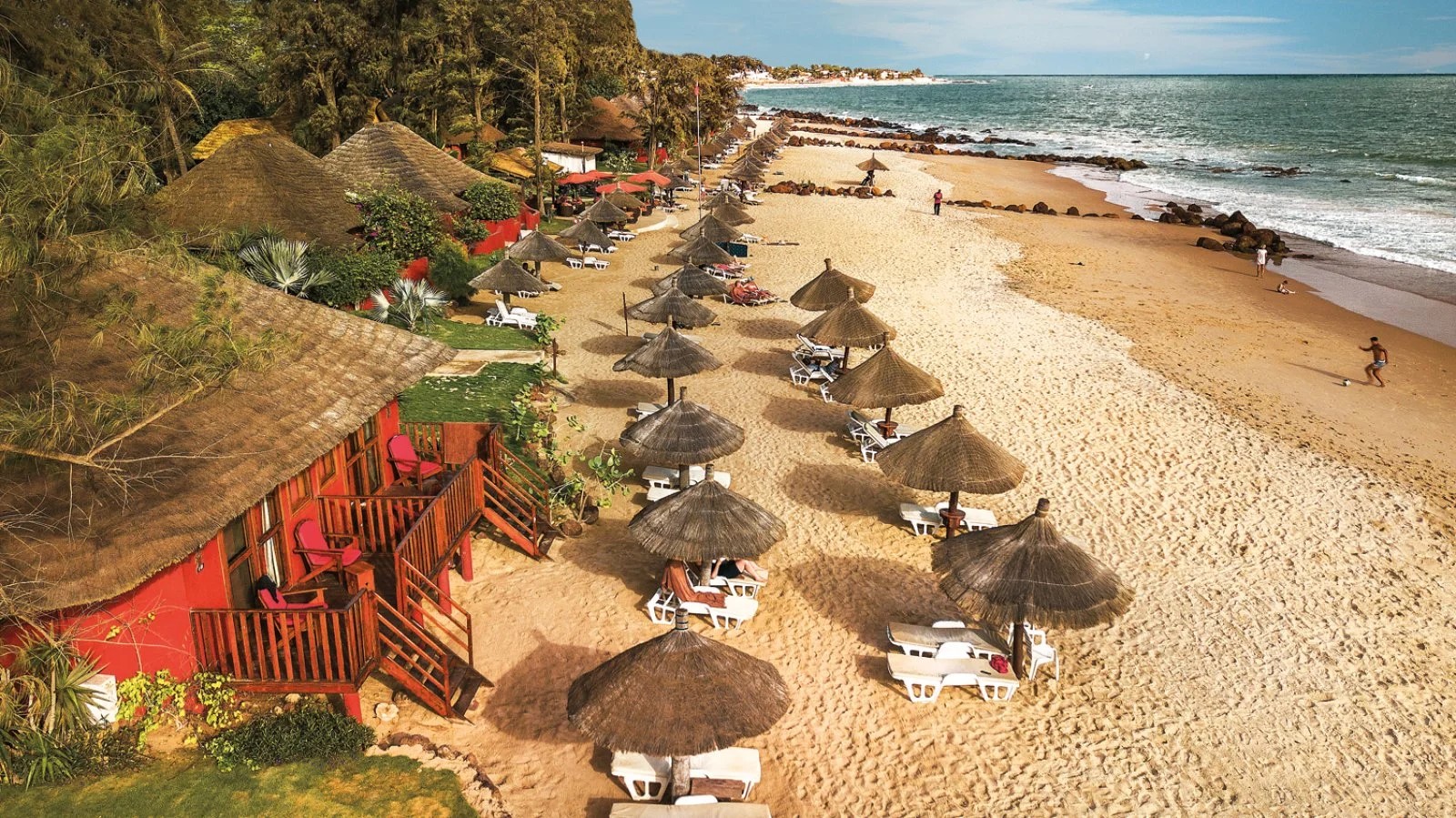 Royal Horizon Baobab