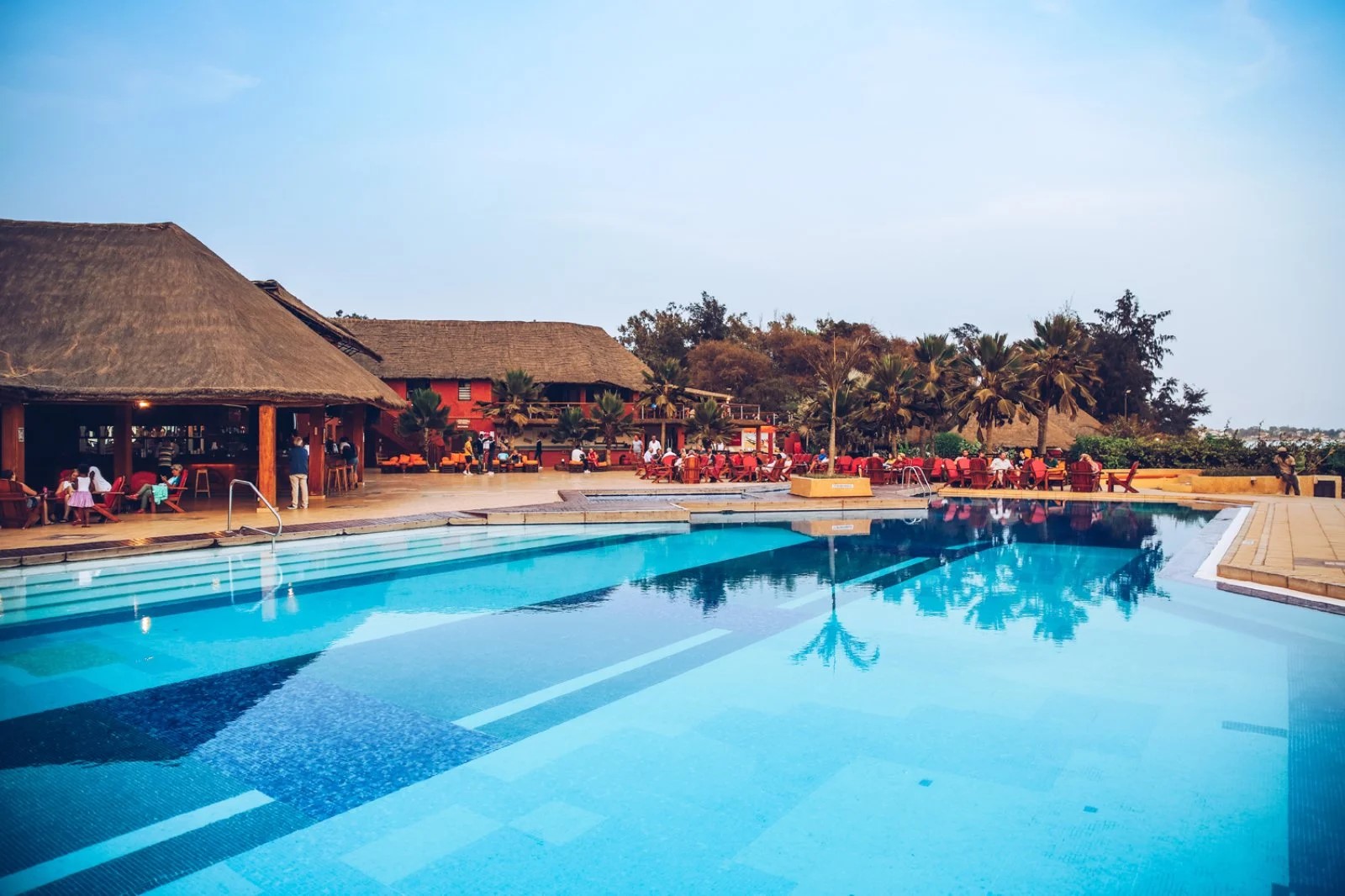 Royal Horizon Baobab