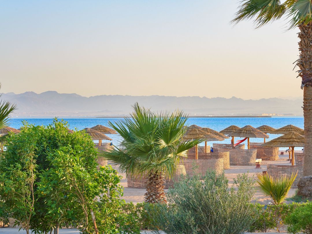 sheraton soma bay resort